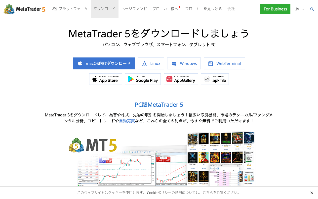 MetaQuotes Resmi MT5 İndirme Sayfası