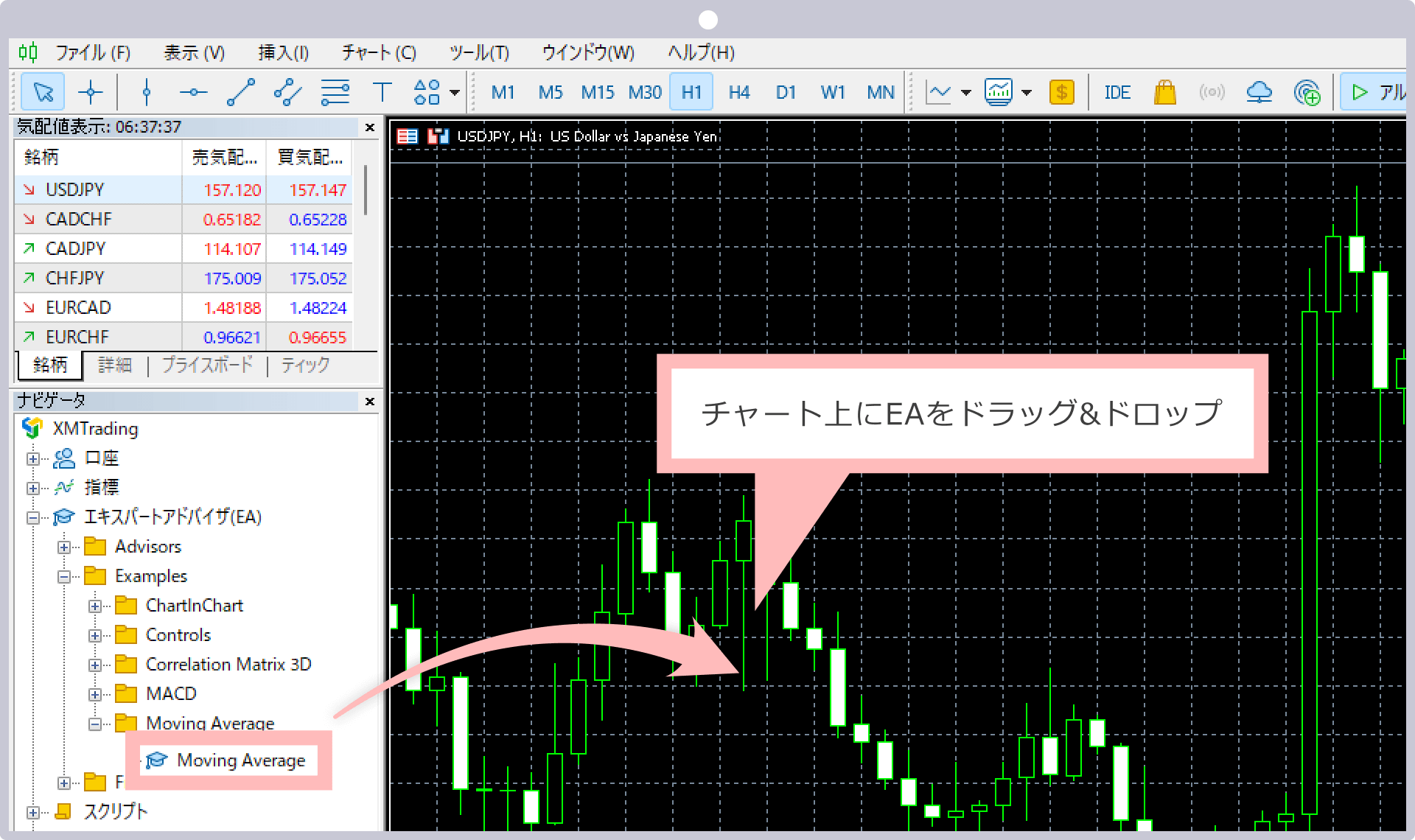 MT5 Chart Screen