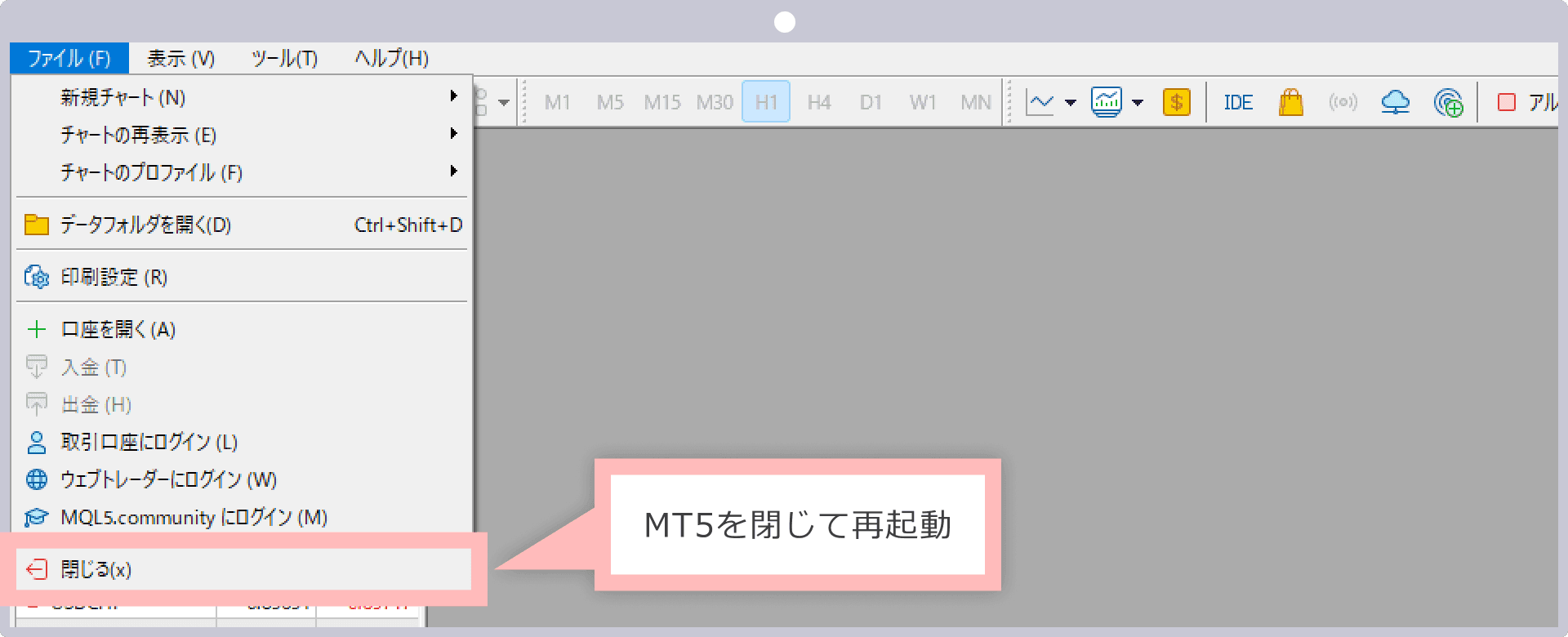 MT5 File Menu